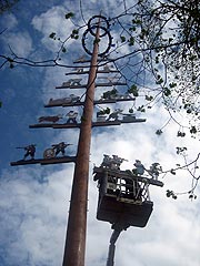 Maibaum aufstellen 2012 in Frasdorf (©Foto: Anton Hötzslperger)